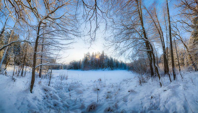 печерск, лес, озеро, зима, могилев, беларусь Печерский лесphoto preview