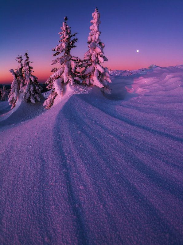 Вольный ветерphoto preview