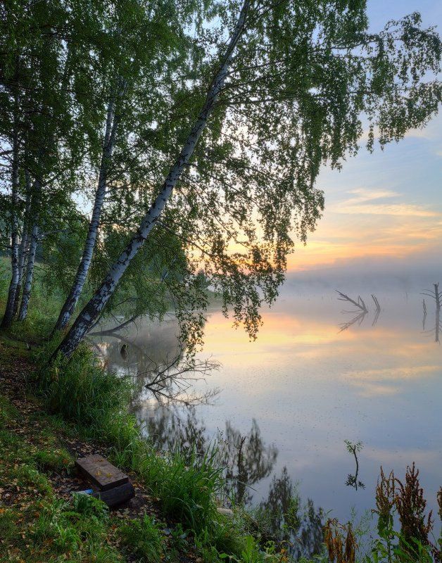 река, рассвет, солнце, берег, утро, лето, берёзы, вода, пейзаж, природа, canon, небо, тишина На берегуphoto preview