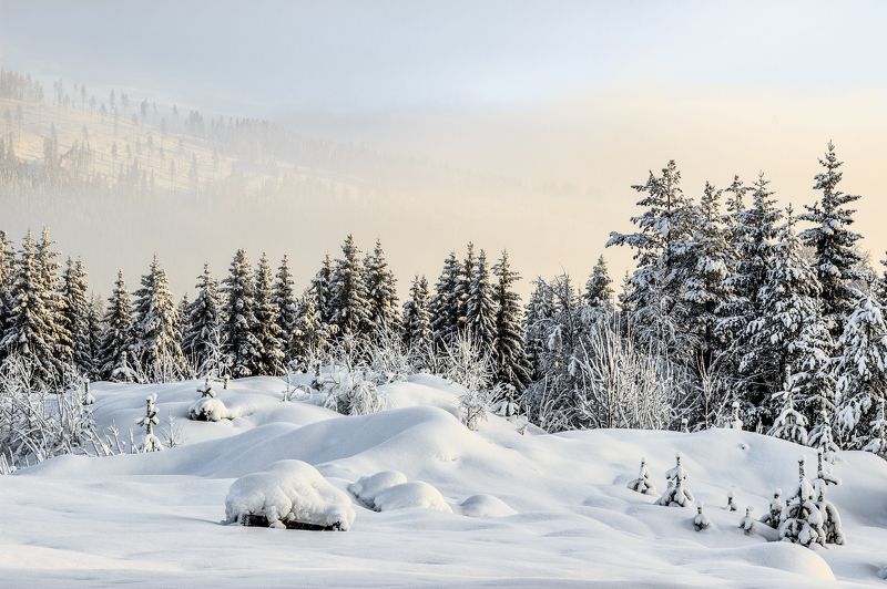 Cold morning.photo preview