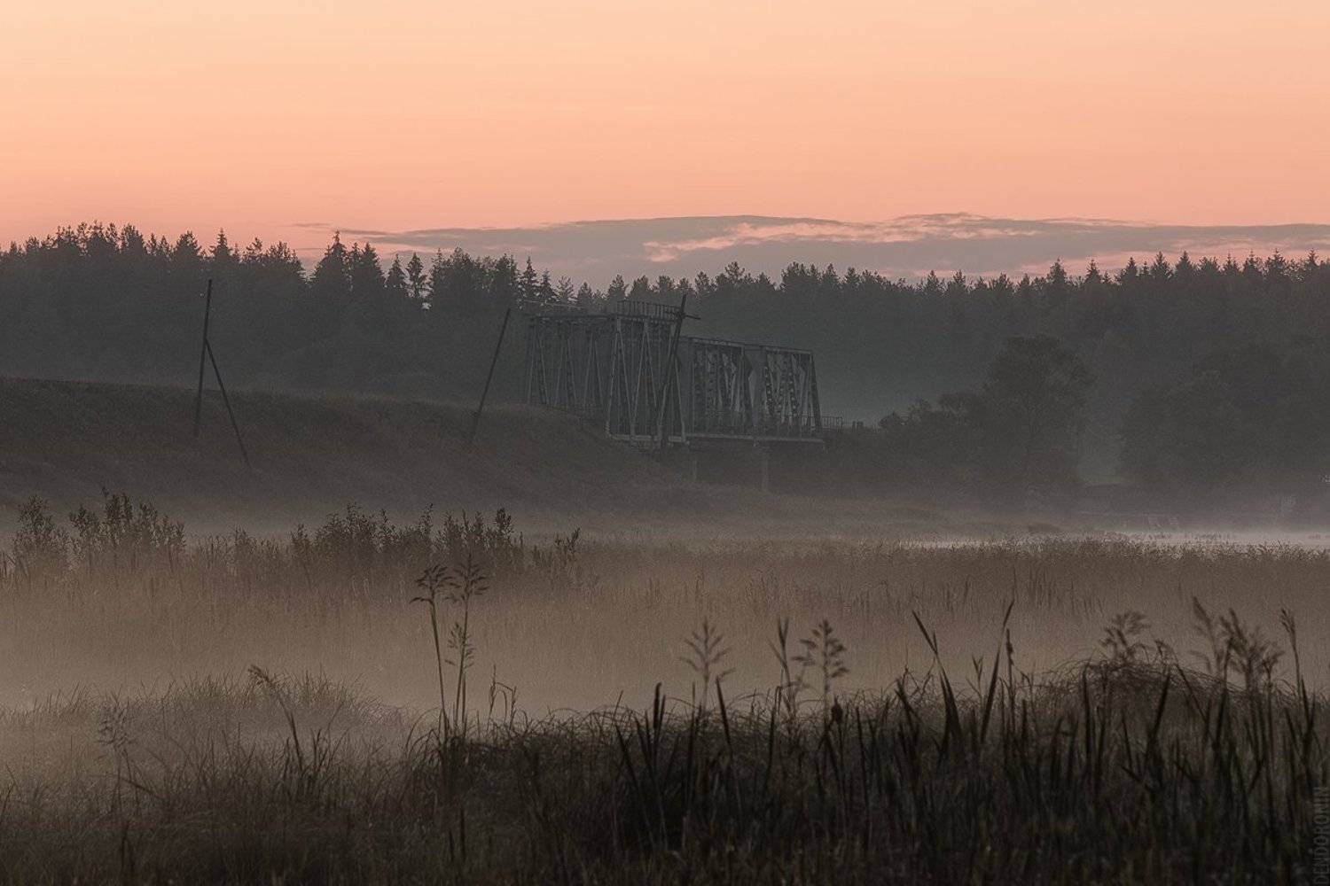 Автор: Денис Доронин красота, красиво, пейзаж, лето, волга, река, тверская область, природа, утро, рассвет, Денис Доронин