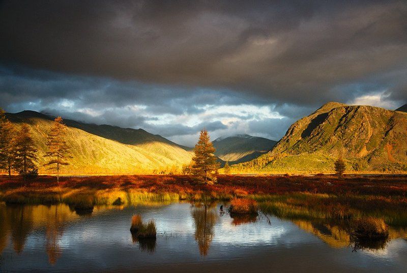 колыма, озеро джека лондона, река пурга, магаданская область, россия, озеро, утро, рассвет, лиственница, ветер, отражение Рассвет на Пургеphoto preview