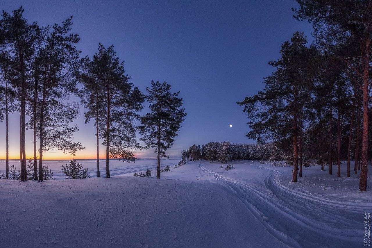 Однажды утром. Автор: Владимир Ушаков утро, рассвет, мороз, зима, берег, река кама, сосновый бор, луна, пермский край, Владимир Ушаков