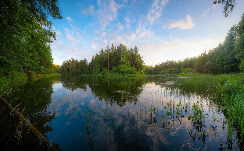 лето, вечер, озеро лес, благодать, природа, печерск, могилев, беларусь Летним вечером...photo preview