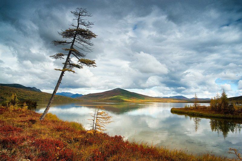 колыма, озеро джека лондона, река пурга, магаданская область, россия, озеро, лиственницы, тундра, отражения, облака Устье Пургиphoto preview
