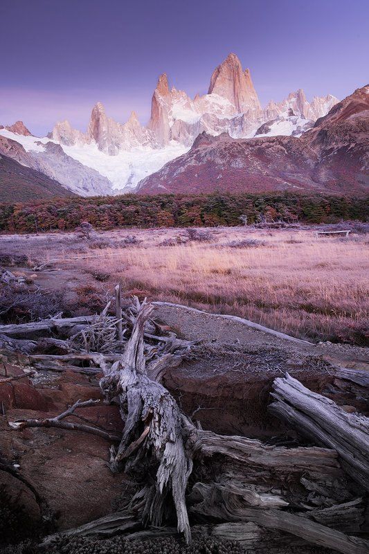 #fitzroy, #patagonia, #el_chalten ПАТАГОНСКИЕ КОРЯГИphoto preview