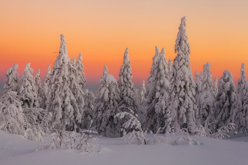 зима, рассвет, урал, таганай, златоуст, t_berg Рассветный Таганай фото превью