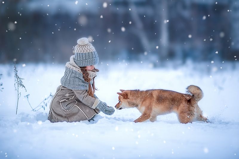 девочка, зима, друг Ребята и зверятаphoto preview