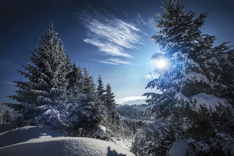 Буковельphoto preview