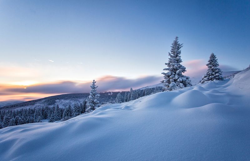 winter, cold, snow, tree, mountain, temperature, wind, powder, nature, landscape, climb, sky, travel, visit, clouds, path, nd, path, trail, Purest form of naturephoto preview