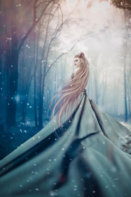 The spirit of the forestphoto preview