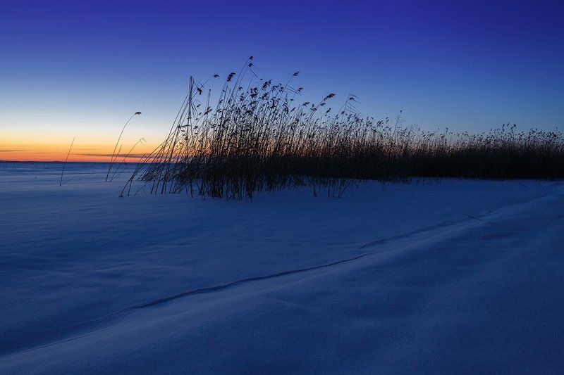 Пейзаж, утро, зима, псковщина, Жижицкое озеро Морозное утро на Жижицком озере фото превью