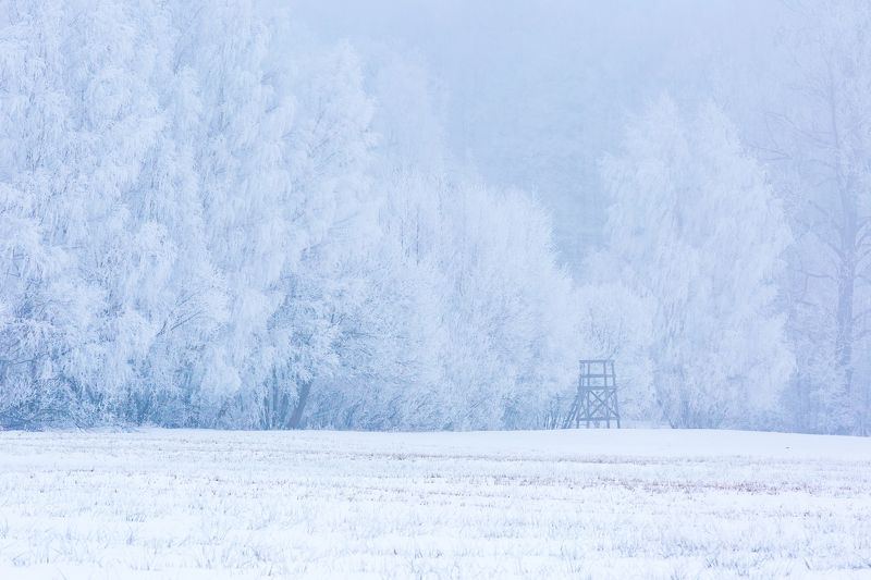 landscape, poland, winter, hoarfrost Raised hidephoto preview