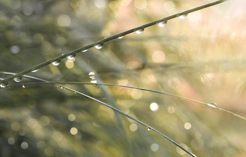 О каплях... и не толькоphoto preview