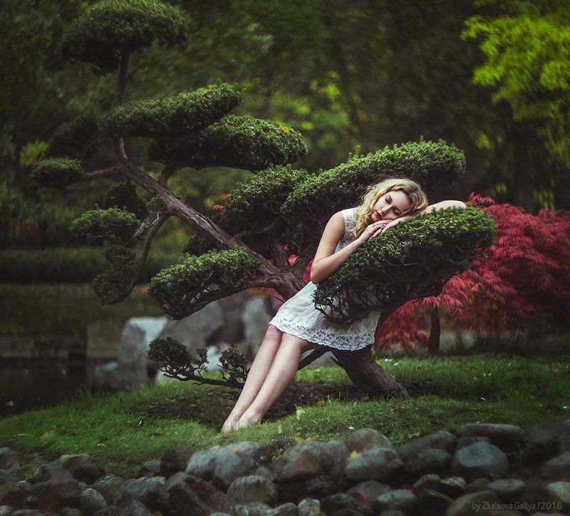 девушка, дерево, сон, портрет, подушка ...photo preview