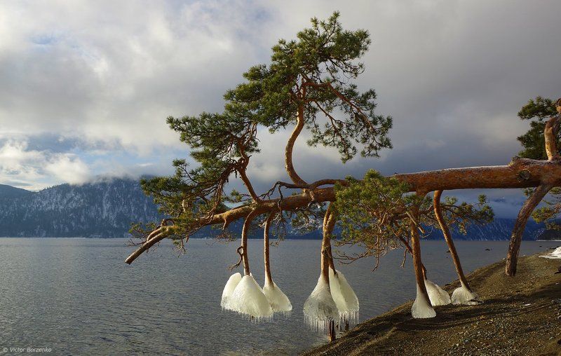 Алтай, Телецкое озеро, Яйлю Про зимнюю обувь :)photo preview