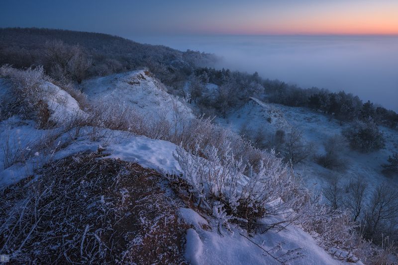 зима, снег, иней, туман, закат, кусты, деревья, сосны, овраги, холмы, берег, река Мороз. Внутрення тишинаphoto preview