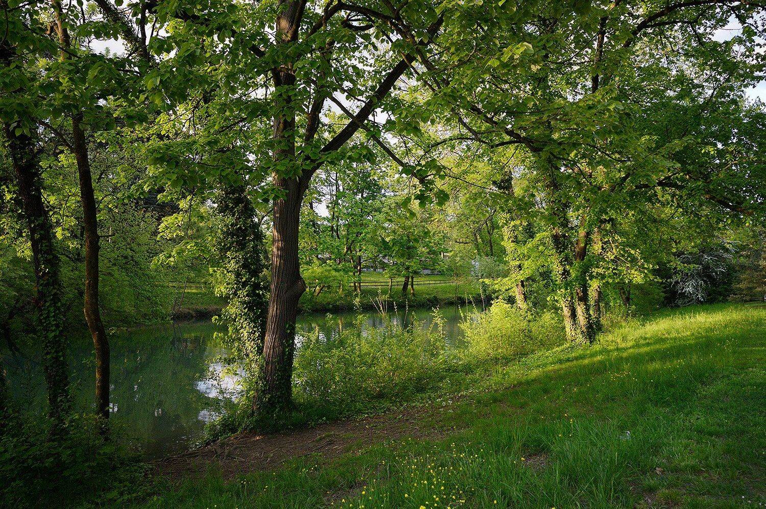 "Господи, как было зелено...". Автор: Olga N. lyon, Olga N.