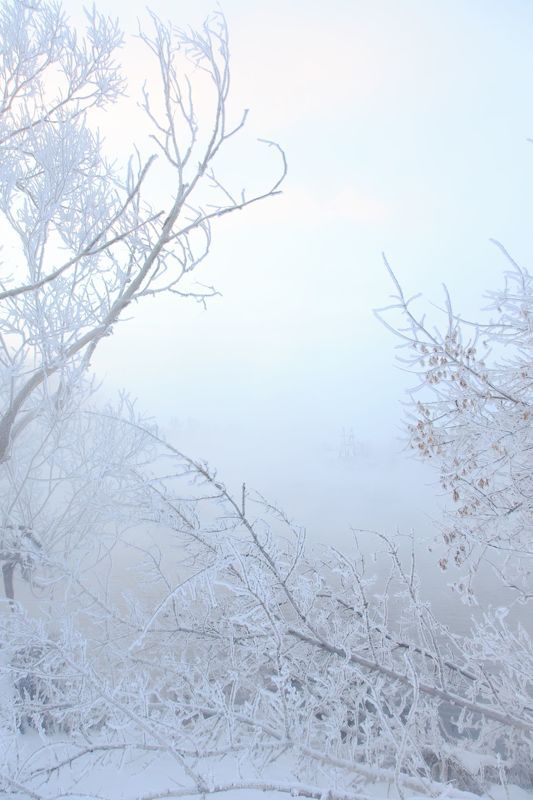 зима, снег, туман, утро, горячка, пейзаж, красота, winter, snow, mist, morning, landscape, beauty Горячкаphoto preview