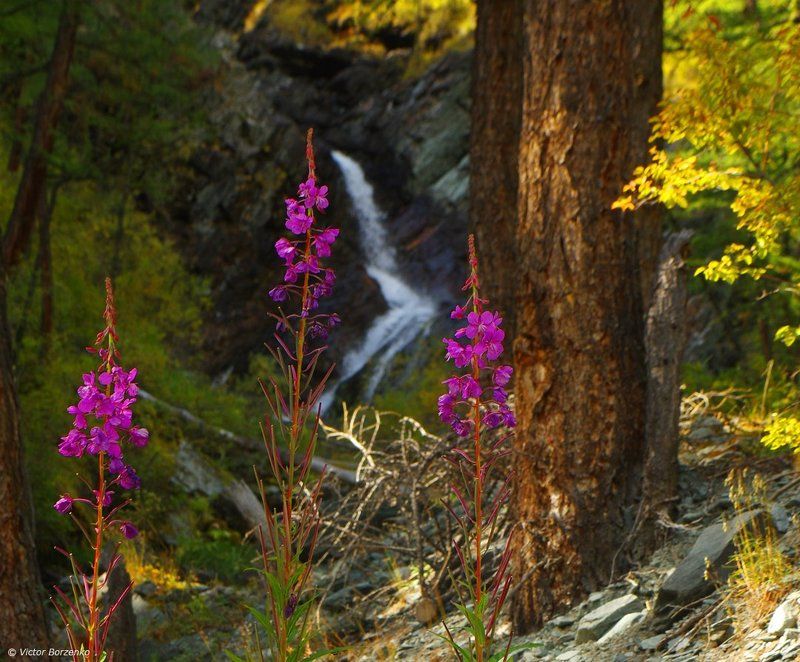 Стражи водопадаphoto preview