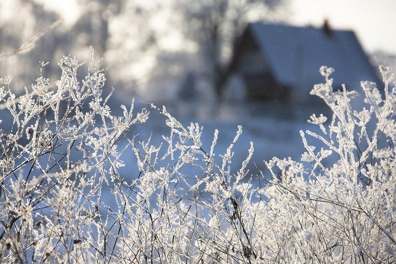 зима, мороз, деревня, иней, снег, природа, деревья, в снегу, лес, вечер, дом, winter, landscape, nature, trees, frost, snow, country, countryside Деревняphoto preview
