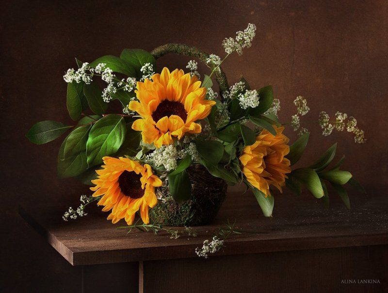 натюрморт, подсолнухи, цветы, ирисы, лето Просто этюды про летоphoto preview