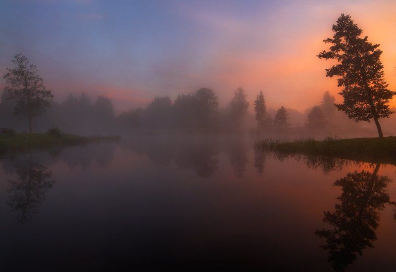 morning, sunrise, mist, lake, reflections, summer, fog, trees, water, clouds, colours On the other shorephoto preview