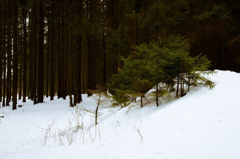 зима photo preview