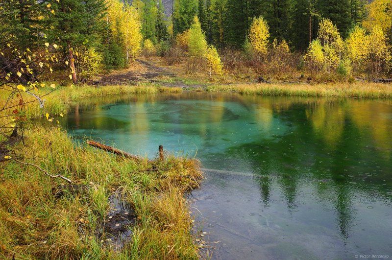 Алтай, Гейзерное озеро, Дождь, Малахитовое озеро, Осень Осенний дождьphoto preview