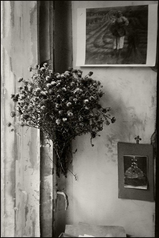 Про старый букет на окнеphoto preview