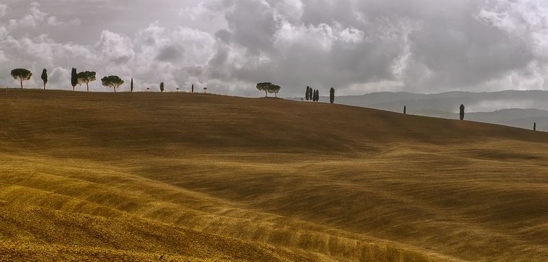 Тосканский мотивphoto preview