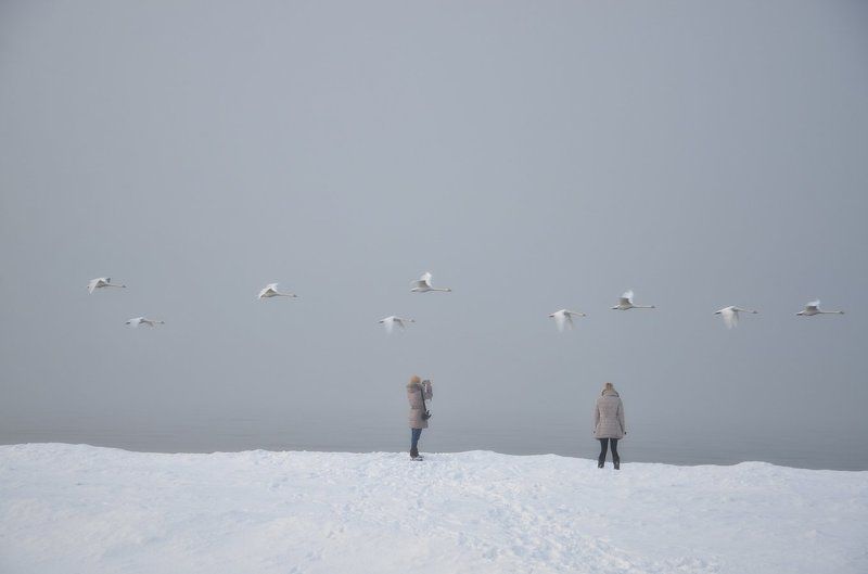 Эйн, цвей, дрей...photo preview