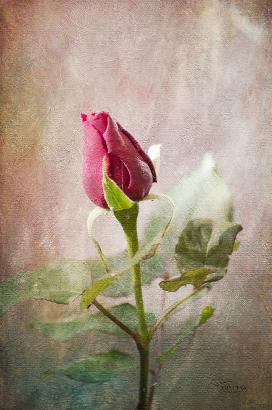 Страсть photo preview