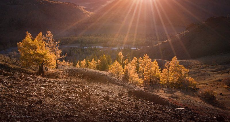 алтай, осень, пейзаж Алтайская осень... фото превью