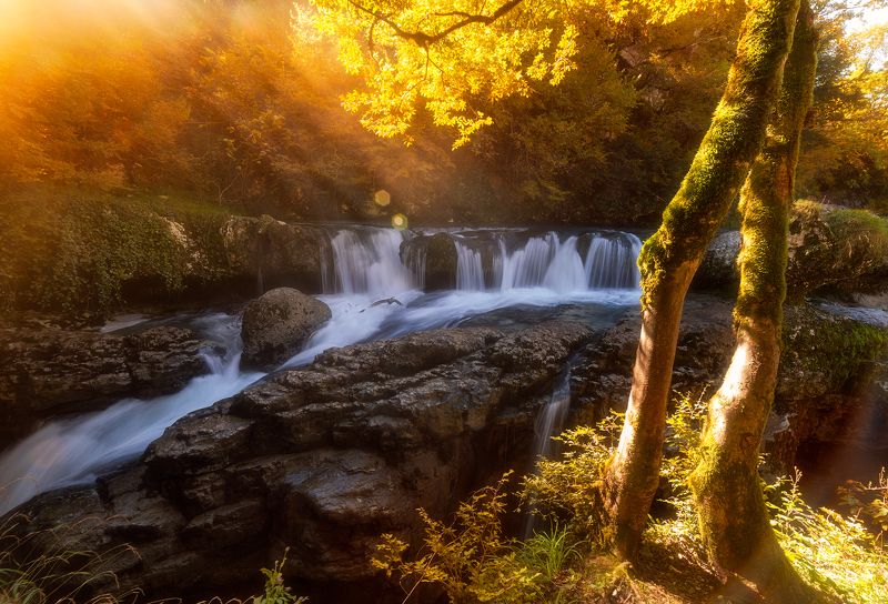 Мартвильский каньонphoto preview