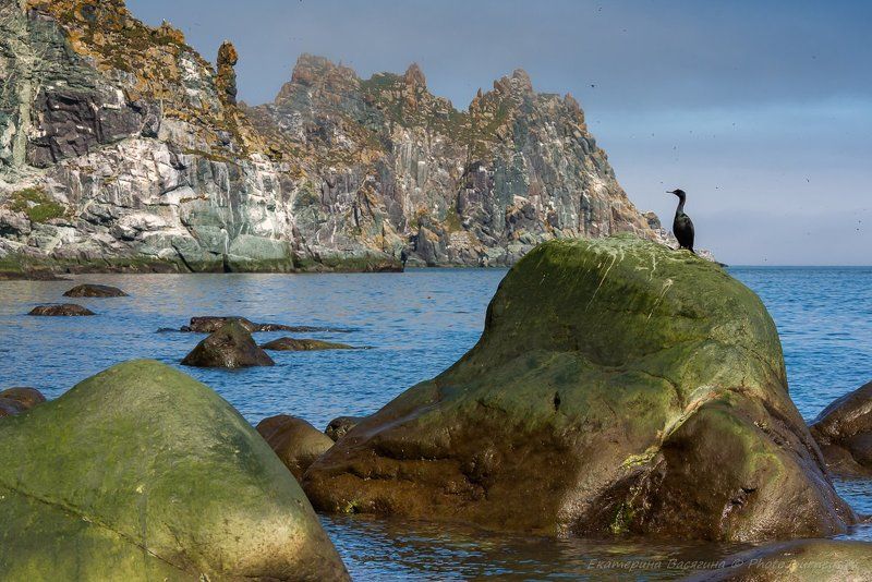 Матыкильские стражиphoto preview