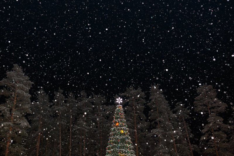 Падал снегphoto preview