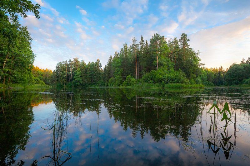 озеро, лес, дубровенка, печерск, вечер, благодать Любимое местоphoto preview