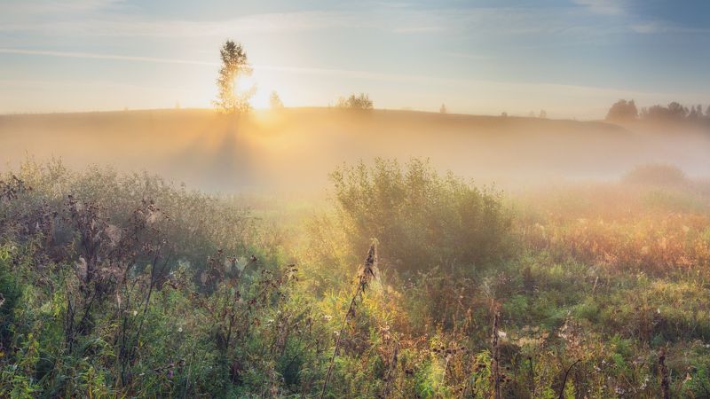 Вспоминая о летеphoto preview