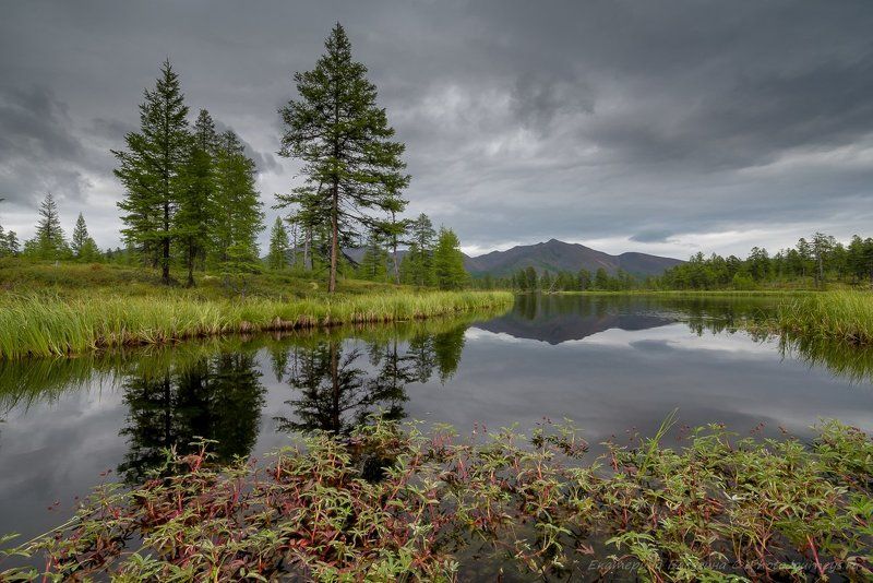 колыма Лето на Эликчанских озерах...photo preview