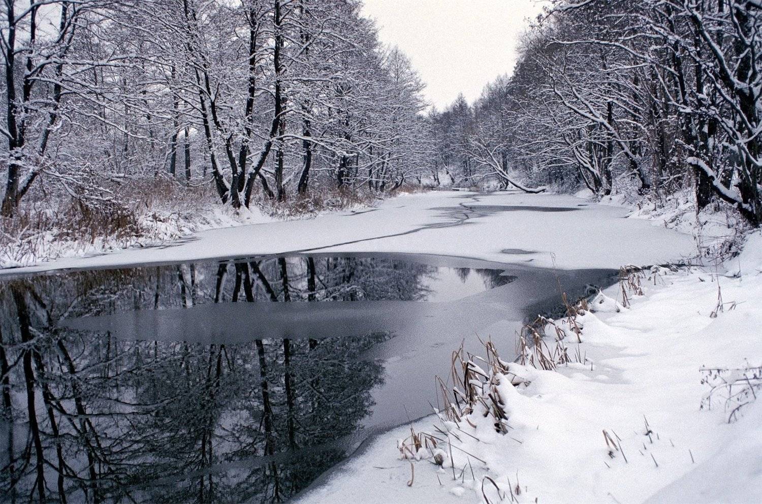 , Медведев Александр