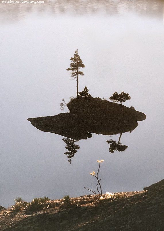 красноярский край, западные саяны, национальный парк  ергаки, озеро, островок, кустик. Кустикphoto preview
