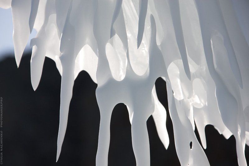 зима, мороз, лед, сосульки, снег, природа, лёд, солнце, winter, isicles, nature, sun, frost, light Ледяной фарфорphoto preview