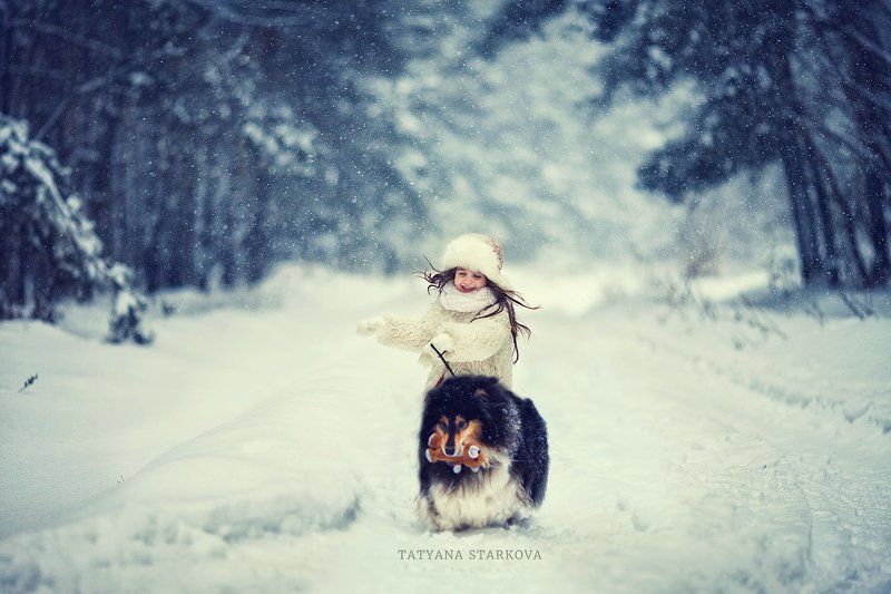 Снег, снежок!photo preview