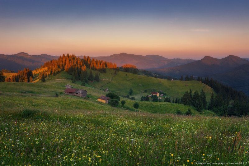 пейзаж, горы, природа, лес, небо, путешествия, красивый, лето, зеленый, украина, трава, дерево, фон, парк, естественный, луг, гора, сезон, красота, цвет, солнце, свет, свежий, карпатский, идиллический, карпаты, карпатские, синий, туризм, вид, холм, время, Карпаты. Дземброня. Вечер у полонины Степанскийphoto preview