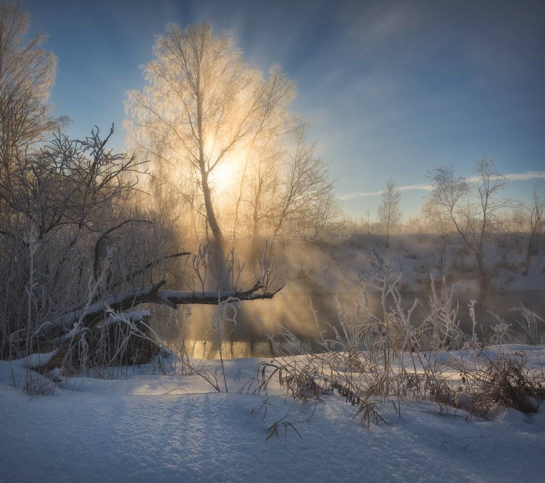 Туманная фантазия. Автор: Жмак Евгений зима, пейзаж, рассвет, иней, туман, солнце, пейзажное фото, фототуры выходного дня, истра, снег, Жмак Евгений