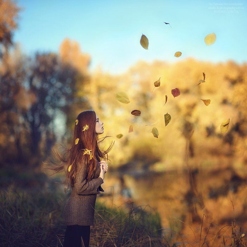 осень ***photo preview