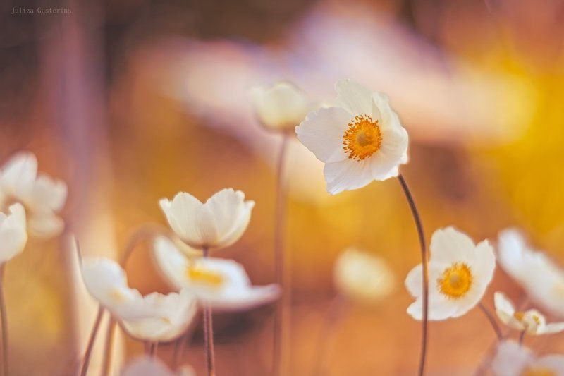 лето продолжаетсяphoto preview