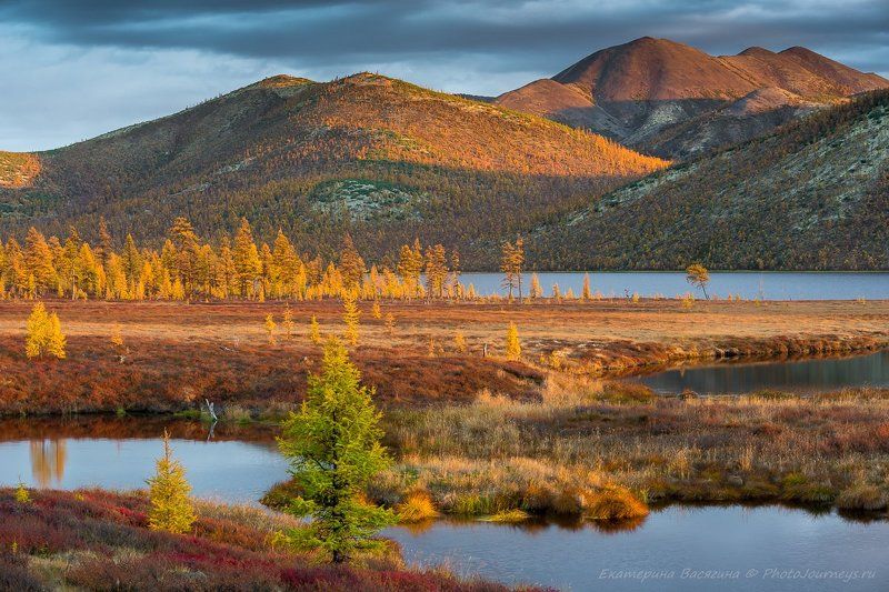 Мотивы северной осениphoto preview