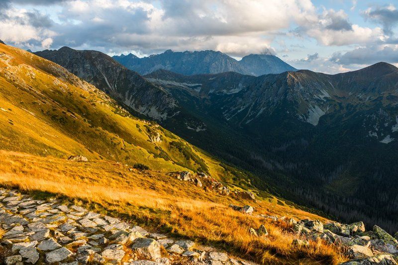 ... фото превью